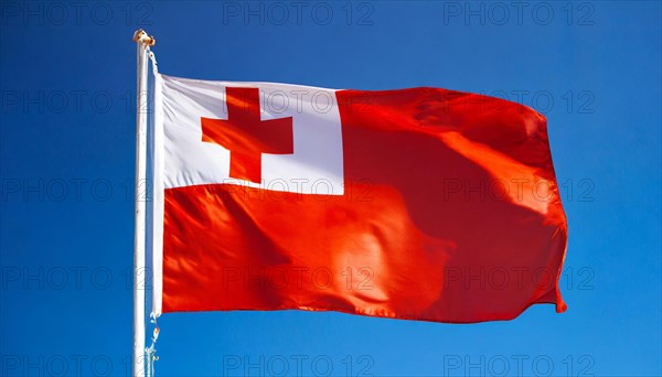 The flag of Tonga, fluttering in the wind, isolated, against the blue sky