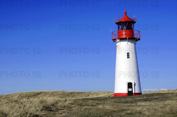 Sylt, Schleswig-Holstein, Lighthouse at Ellenbogen, Sylt, North Frisian Island, A small white-red lighthouse surrounded by dry grasses under a sunny sky, Sylt, North Frisian Island, Schleswig-Holstein, Germany, Europe
