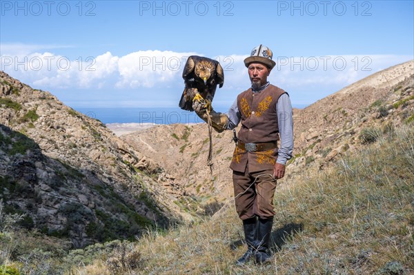 Traditional Kyrgyz eagle hunter with eagle in the mountains, hunting, near Bokonbayevo, Issyk Kul region, Kyrgyzstan, Asia