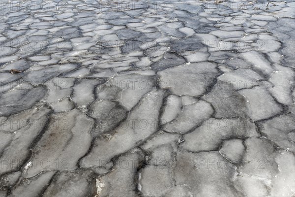 Winter, ice pattern formation, Chateauguay River, Province of Quebec, Canada, North America