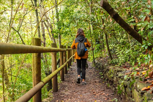 Walking along the path in the Laurisilva forest of Los tilos de Moya in Doramas, Gran Canaria