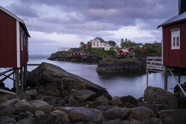 Typical red wooden houses on wooden stilts (rorbuer) in Nusfjord, white houses in the background. Rocks and sea. At night at the time of the midnight sun, cloudy sky. Early summer. Long exposure. Nusfjord, Flakstadoya, Lofoten, Norway, Europe