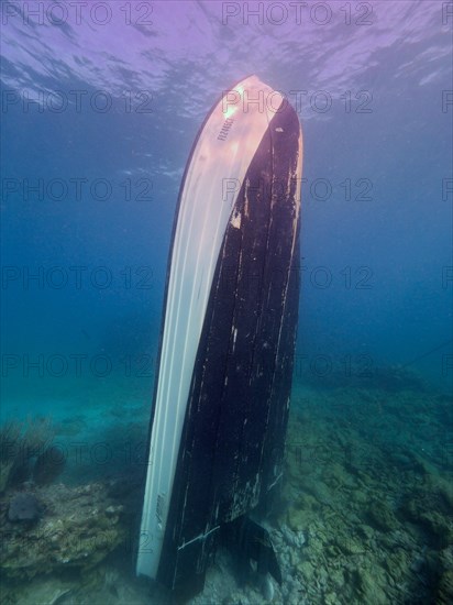 Upright wreck of sport fishing boat, dive site John Pennekamp Coral Reef State Park, Key Largo, Florida Keys, Florida, USA, North America