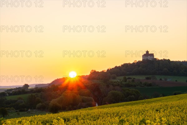 Landscape at sunrise. Beautiful morning landscape with fresh yellow rape fields in spring. Small castle in the yellow fields on a hill. Historic Ronneburg Castle in the middle of nature, Ronneburg, Hesse, Germany, Europe