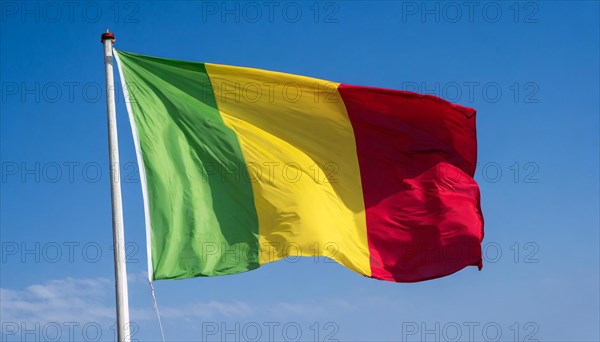 The flag of Mali, fluttering in the wind, isolated, against the blue sky