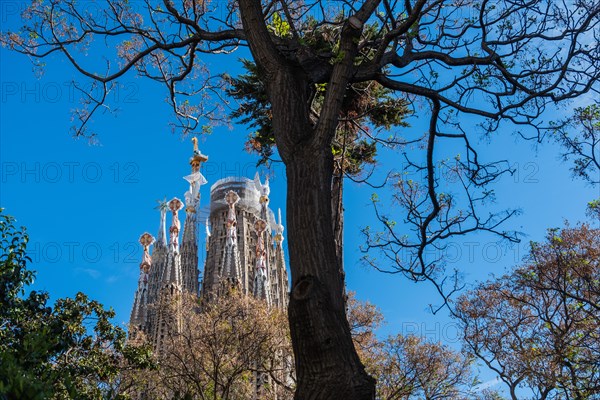 Towers of the Sagrada Familia basilica under construction, Roman Catholic basilica by Antoni Gaudi in Barcelona, Spain, Europe