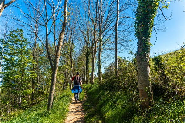 A man walking through a forest near the Zumaia flysch, Gipuzkoa. Basque Country