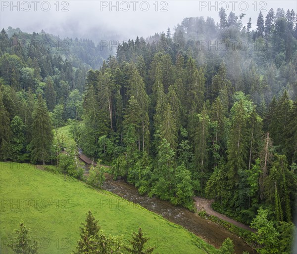 Misty natural landscape and view down into the Eistobel in the nature reserve of the same name in the West Allgaeu near Maierhoefen, Bavaria, Germany, Europe