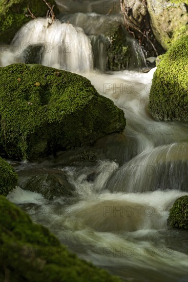 Mountain stream in the forest with mossy basalt rocks, blocks of basalt in the stream bed, Tertiary volcano, flowing water, motion blur, Krummbach, Vogelsberg Volcanic Region nature park Park, Nidda, Wetterau, Hesse, Germany, Europe