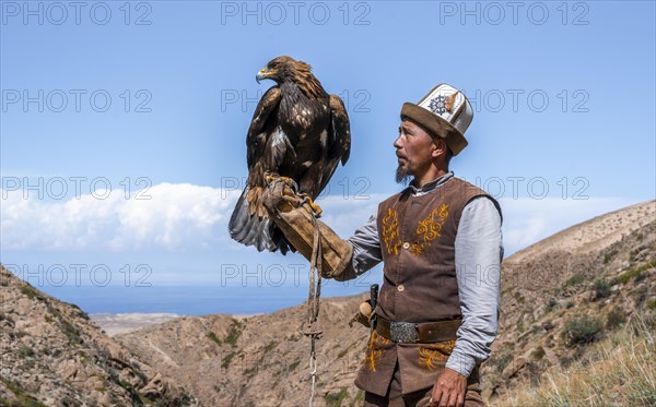 Traditional Kyrgyz eagle hunter with eagle in the mountains, hunting, near Bokonbayevo, Issyk Kul region, Kyrgyzstan, Asia