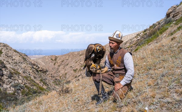 Traditional Kyrgyz eagle hunter with eagle in the mountains, hunting, near Bokonbayevo, Issyk Kul region, Kyrgyzstan, Asia