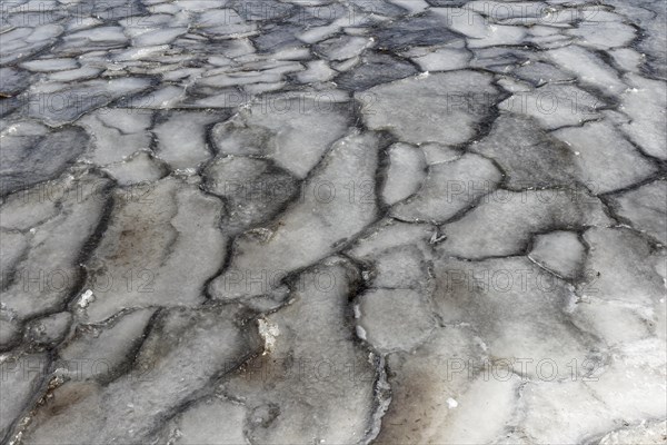 Winter, ice pattern formation, Chateauguay River, Province of Quebec, Canada, North America