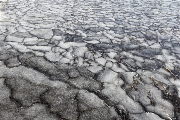 Winter, ice pattern formation, Chateauguay River, Province of Quebec, Canada, North America