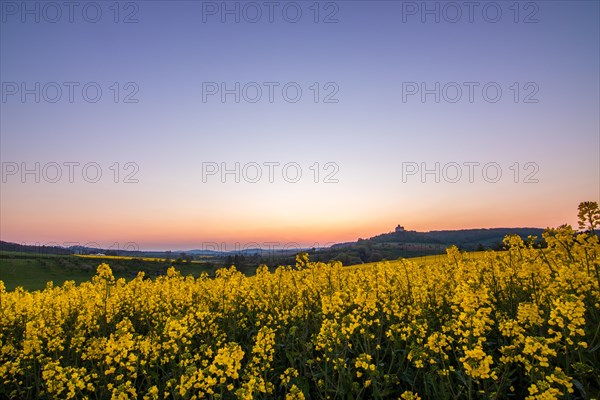 Landscape at sunrise. Beautiful morning landscape with fresh yellow rape fields in spring. Small castle in the yellow fields on a hill. Historic Ronneburg Castle in the middle of nature, Ronneburg, Hesse, Germany, Europe