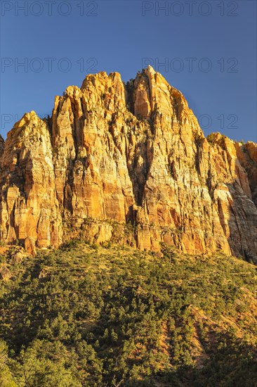 Watchman Mountain, Zion National Park, Colorado Plateau, Utah, USA, Zion National Park, Utah, USA, North America