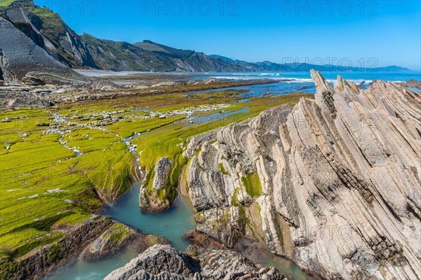 Landscape of the Flysch Basque Coast geopark in Zumaia with low seas with marine vegetation, Gipuzkoa
