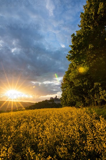 Landscape at sunrise. Beautiful morning landscape with fresh yellow rape fields in spring. Small castle in the yellow fields on a hill. Historic Ronneburg Castle in the middle of nature, Ronneburg, Hesse, Germany, Europe