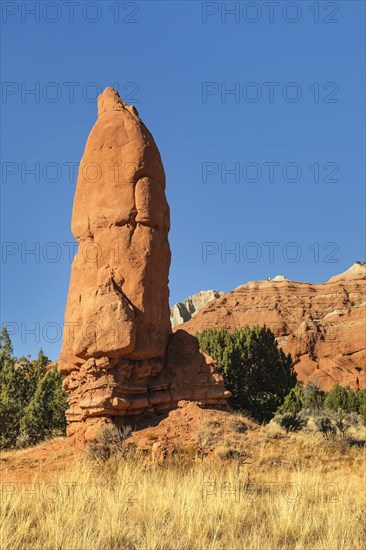 Kodachrome Basin State Park, Utah, United States, USA, Kodachrome Basin State Park, Utah, USA, North America