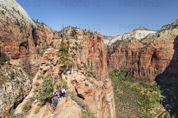 Descent from Angels Landing, Zion National Park, Colorado Plateau, Utah, USA, Zion National Park, Utah, USA, North America
