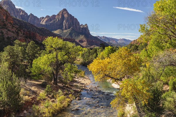 View from Virgin River to Watchman Mountain, Zion National Park, Colorado Plateau, Utah, USA, Zion National Park, Utah, USA, North America