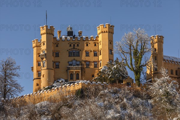 Hohenschwangau Castle, Schwangau near Fuessen, Allgaeu, Bavaria, Germany, Fuessen, Bavaria, Germany, Europe