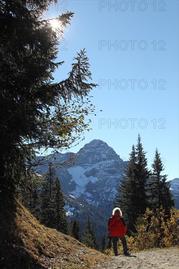 View from the Walmendinger Horn in Kleinwalsertal to the Grosser Widderstein in Vorarlberg, Austria, Europe