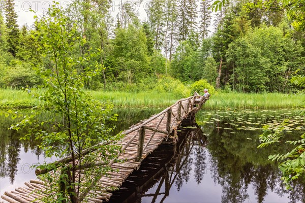Old wooden footbridge over a river built of tree sticks with a man sitting on a bench in a lush green forest in the summer, Mullsjoe, Sweden, Europe
