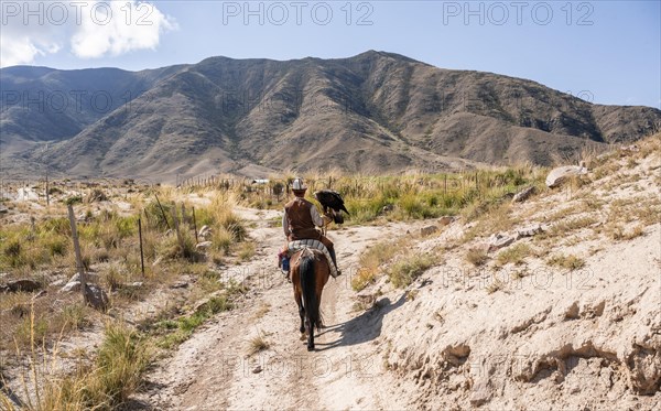 Traditional Kyrgyz eagle hunter riding with eagle in the mountains, hunting on horseback, near Bokonbayevo, Issyk Kul region, Kyrgyzstan, Asia