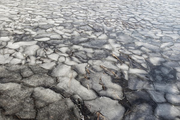 Winter, ice pattern formation, Chateauguay River, Province of Quebec, Canada, North America