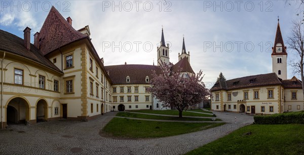 Goess Abbey, collegiate church, former monastery of the Benedictine nuns, panoramic view, Leoben, Styria, Austria, Europe