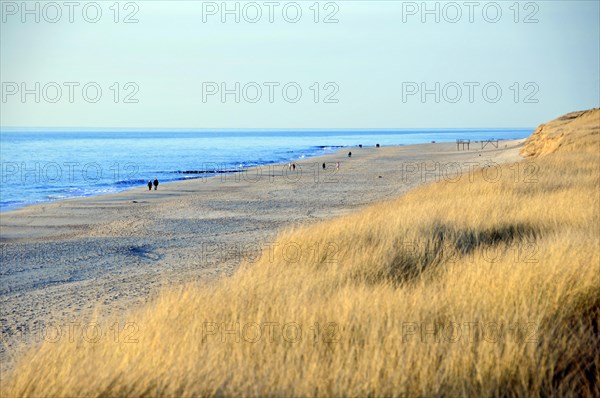 Beach 5 km south of Westerland, Sylt, North Frisian Island, Schleswig Holstein, Wide sandy beach with dunes and people in the distance under a wide sky, Sylt, North Frisian Island, Schleswig Holstein, Germany, Europe