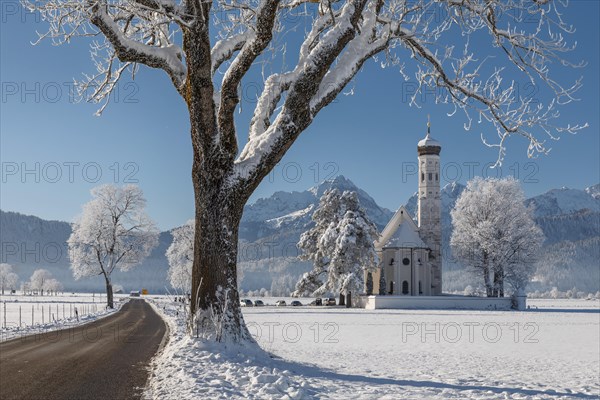 Pilgrimage church of St Coloman near Schwangau, Allgaeu, Swabia, Bavaria, Germany, Schwangau, Ostallgaeu, Bavaria, Germany, Europe