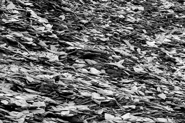 Slate heap, slate rock, black and white, Eastern Eifel, Rhineland-Palatinate, Germany, Europe