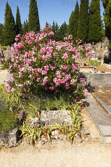 Grave of the Nobel Prize winner and philosopher Abert Camus, Lourmarin, Luberon, Vaucluse, Provence, France, Europe