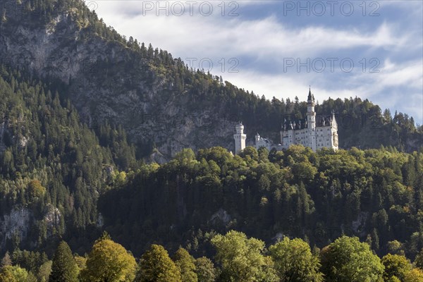 Neuschwanstein Castle, Hohenschwangau, Allgaeu Alps, Allgaeu, Bavaria, Germany, Europe