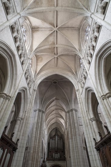 Late Gothic nave, 13th century, with organ loft from the 19th century, Notre Dame de l'Assomption Cathedral, Lucon, Vendee, France, Europe