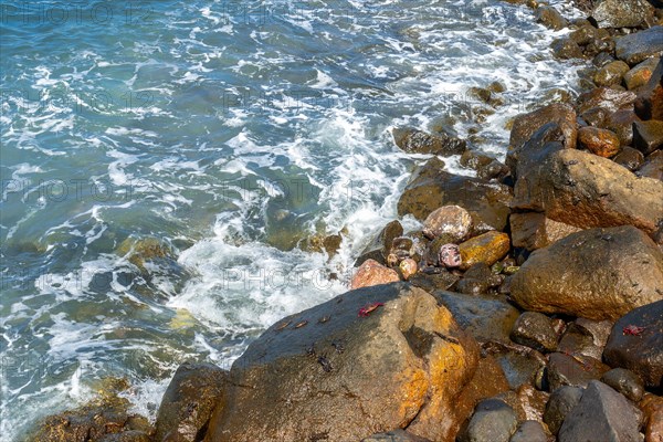 Red crabs on the beach of Puerto de Las Nieves in Agaete in Gran Canaria, Spain, Europe