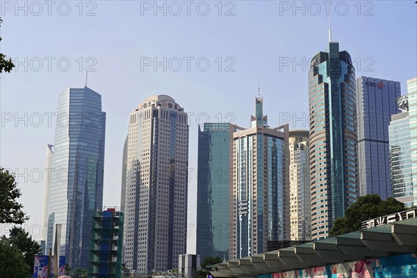 The tallest skyscrapers of the Pudong Special Economic Zone, skyline with several skyscrapers against a clear blue sky, Shanghai, China, Asia