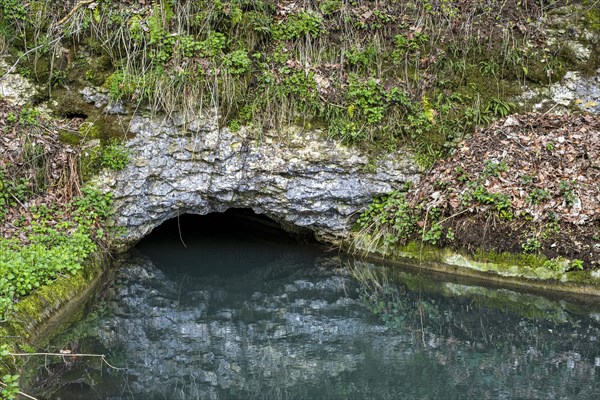 The Grosse Lauter disappears into the limestone, Grosses Lautertal near Lauterach, Munderkingen, Swabian Alb, Baden-Wuerttemberg, Germany, Europe