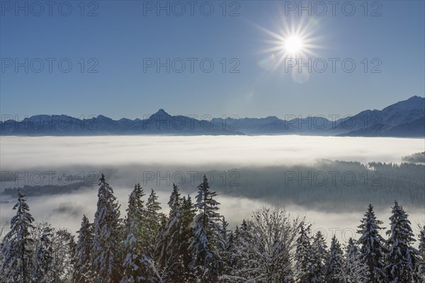 View from the Eisenberg castle ruins towards the Allgaeu Alps, Allgaeu, Swabia, Bavaria, Germany, Pfronten, Bavaria, Germany, Europe