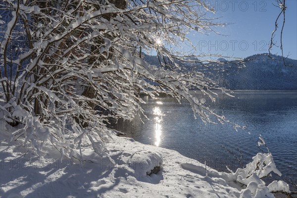 Hotel Alpenrose am Alpsee, Schwangau, Ostallgaeu, Swabia, Bavaria, Germany, Schwangau, Ostallgaeu, Bavaria, Germany, Europe