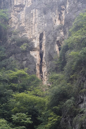 Cruise ship on the Yangtze River, Hubei Province, China, Asia, Green trees and plants growing in front of a rocky cave formation, Yichang, Asia
