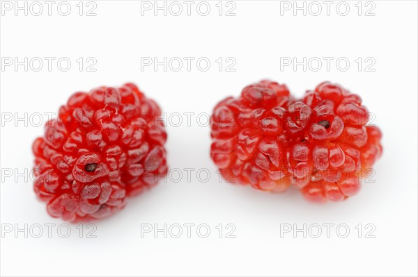 Strawberry spinach (Chenopodium foliosum, Blitum virgatum), fruits on a white background, vegetable and ornamental plant