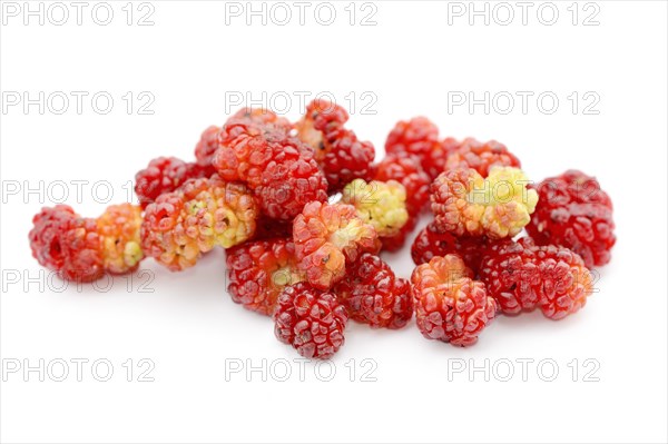 Strawberry spinach (Chenopodium foliosum, Blitum virgatum), fruits on a white background, vegetable and ornamental plant