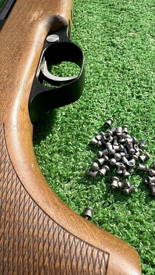 Detail of a shotgun and buckshot on a green background. Illegal hunting is quite common and is considered a serious crime