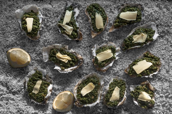 Oysters au gratin with spinach and cheese, recipe a la Rockefeller, decorated with coarse salt, France, Europe