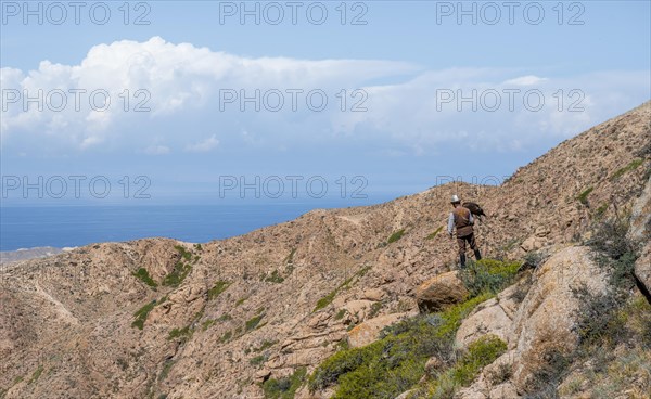 Traditional Kyrgyz eagle hunter with eagle in the mountains, hunting, near Bokonbayevo, Issyk Kul region, Kyrgyzstan, Asia