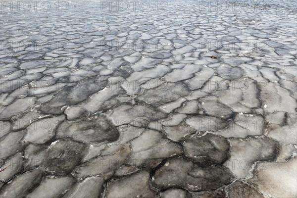 Winter, ice pattern formation, Chateauguay River, Province of Quebec, Canada, North America