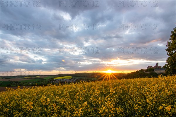 Landscape at sunrise. Beautiful morning landscape with fresh yellow rape fields in spring. Small castle in the yellow fields on a hill. Historic Ronneburg Castle in the middle of nature, Ronneburg, Hesse, Germany, Europe