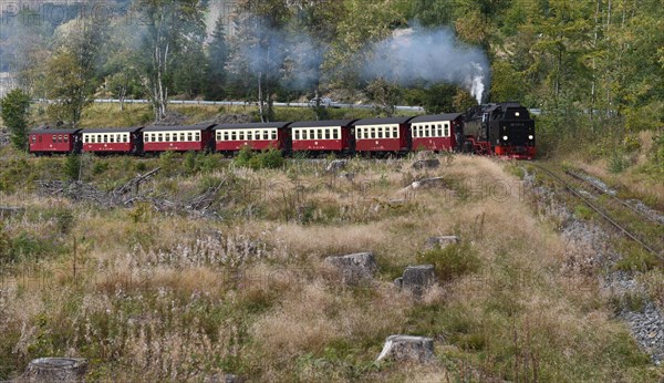 The Harz Narrow Gauge Railway, Brocken Railway, Selketal Railway in the Harz Mountains, Saxony-Anhalt, Germany, Europe